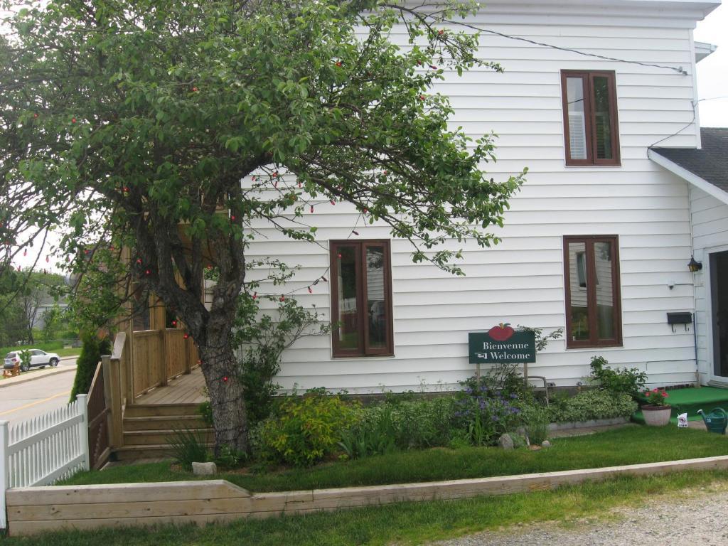 Gite Au Vieux Pommier Tadoussac Zewnętrze zdjęcie