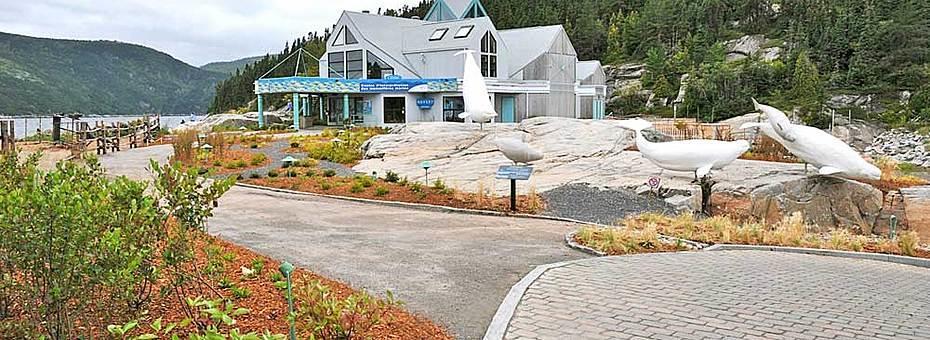 Gite Au Vieux Pommier Tadoussac Zewnętrze zdjęcie