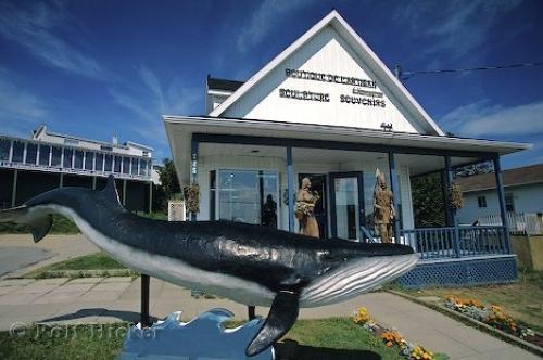 Gite Au Vieux Pommier Tadoussac Zewnętrze zdjęcie