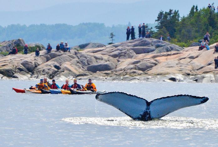 Gite Au Vieux Pommier Tadoussac Zewnętrze zdjęcie